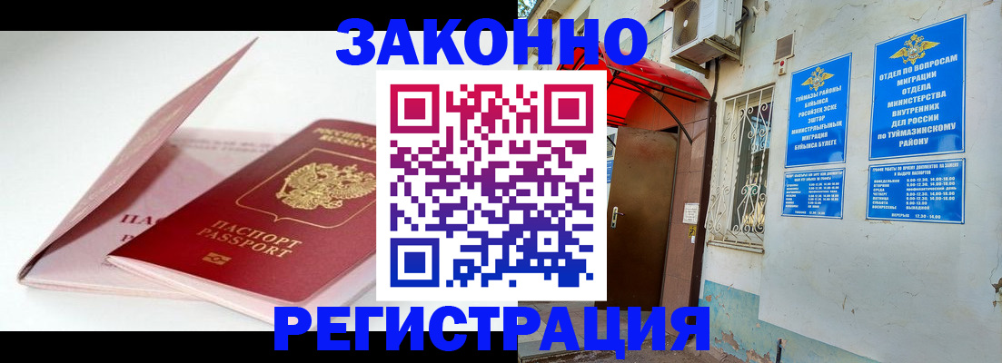 прописка гарантия в Вольске